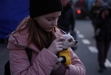 Спрощені правила провозу домашніх тварин з України до Польщі скасовано