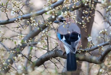 Сегодня украинцев ждет небольшое похолодание: местами температура упадет до +12° (карта)