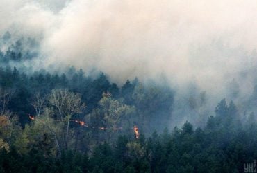 Лісова пожежа, що почалася на Сумщині від обстрілів, перекинулась на територію РФ - ОВА