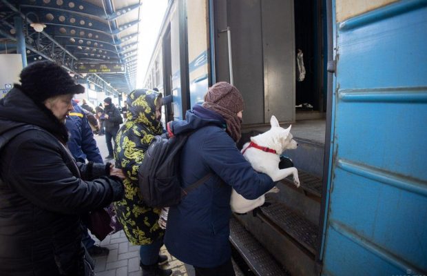 Польща змінила правила ввезення домашніх тварин для українців
