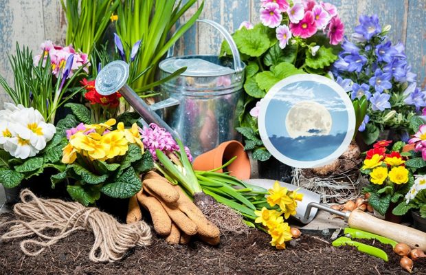 Лунный посевной календарь на апрель 2022: что когда сажать в открытый грунт