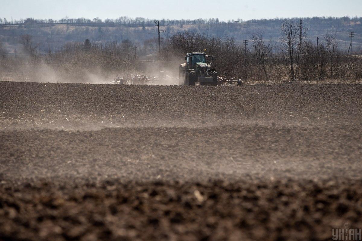 Посівна кампанія в Україні проводиться успішно / фото УНІАН Посівна кампанія в Україні проводиться успішно / фото УНІАН
