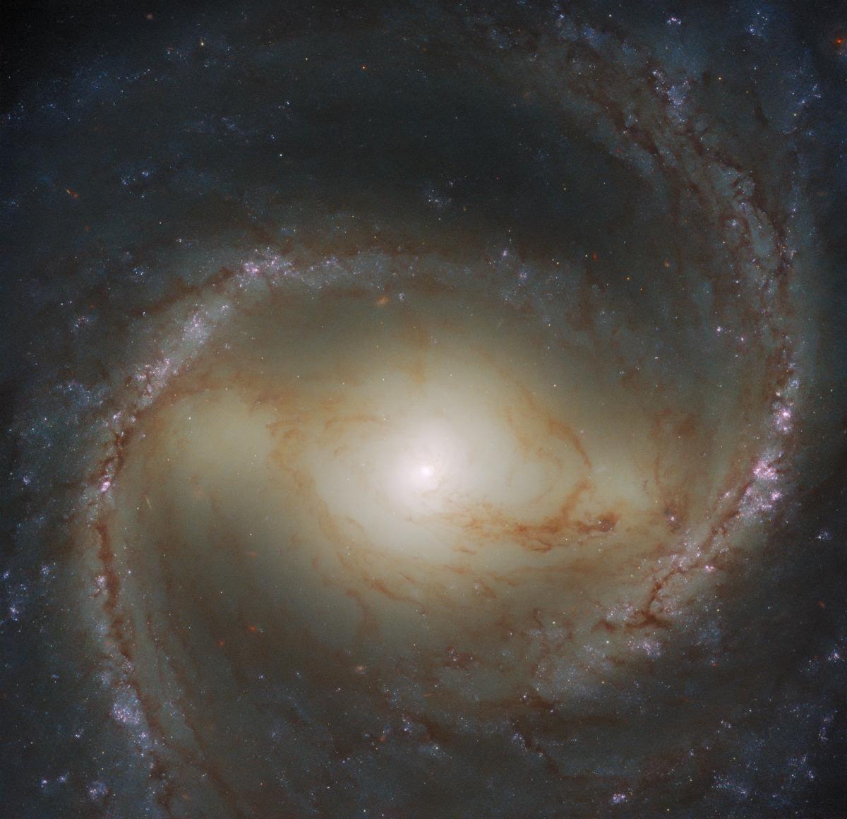 Галактика M91 расположена в созвездии Волосы Вероники / фото ESA/Hubble & NASA, J. Lee и команда PHANGS-HST