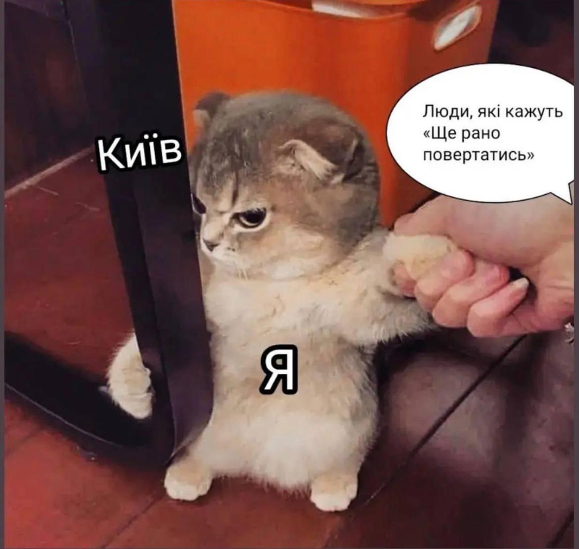 Київ та область сьогодні: що відбувається в столиці (онлайн) Київ та область сьогодні: що відбувається в столиці (онлайн)