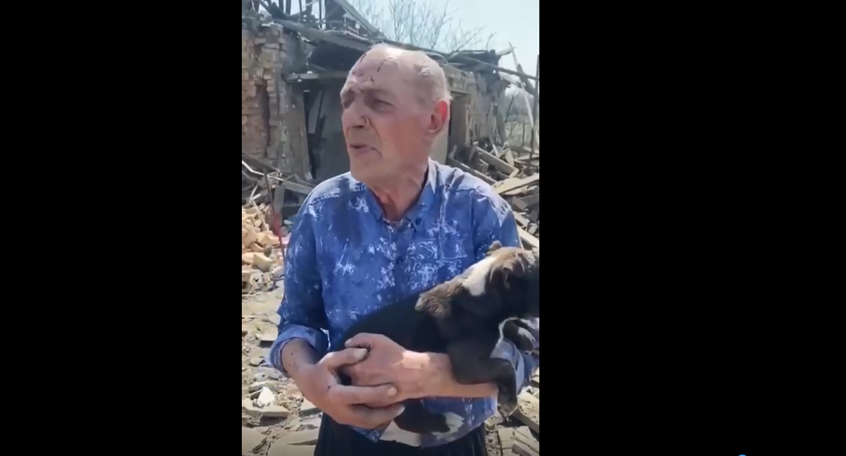 Обстріл села на Донбасі: дідусь дивом залишився живим, його цуценя врятували з-під уламків (відео) Обстріл села на Донбасі: дідусь дивом залишився живим, його цуценя врятували з-під уламків (відео)