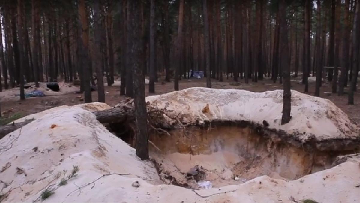 Российские в военные обустроили в Здвижевке самый большой лагерь для штурма Киева / скриншот Российские в военные обустроили в Здвижевке самый большой лагерь для штурма Киева / скриншот