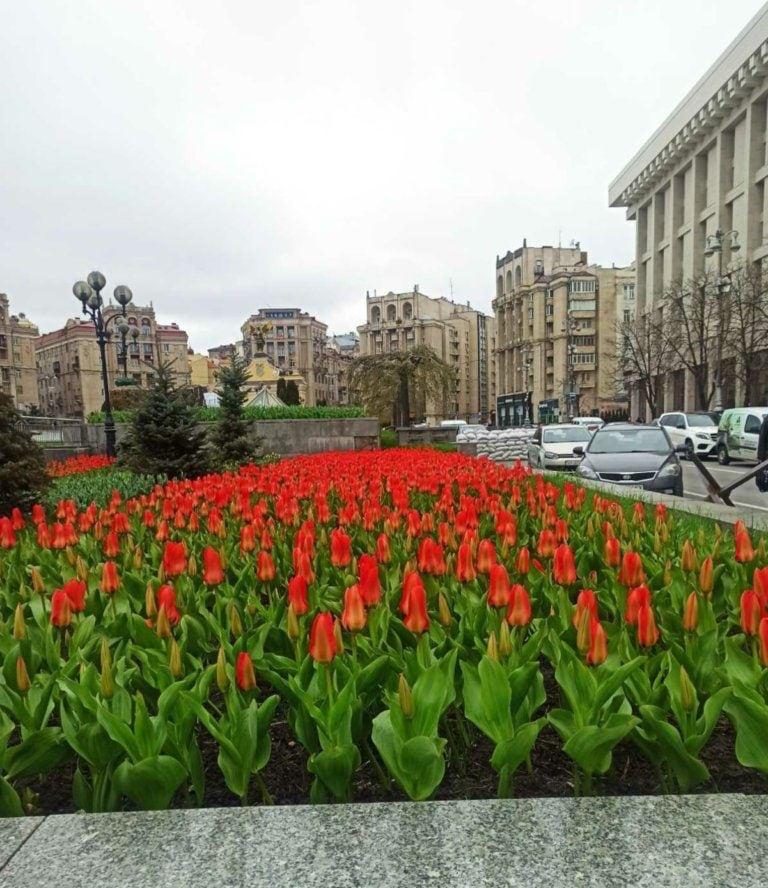 Що відбувається в Києві та області 20 квітня: хроніка війни за сьогодні Що відбувається в Києві та області 20 квітня: хроніка війни за сьогодні