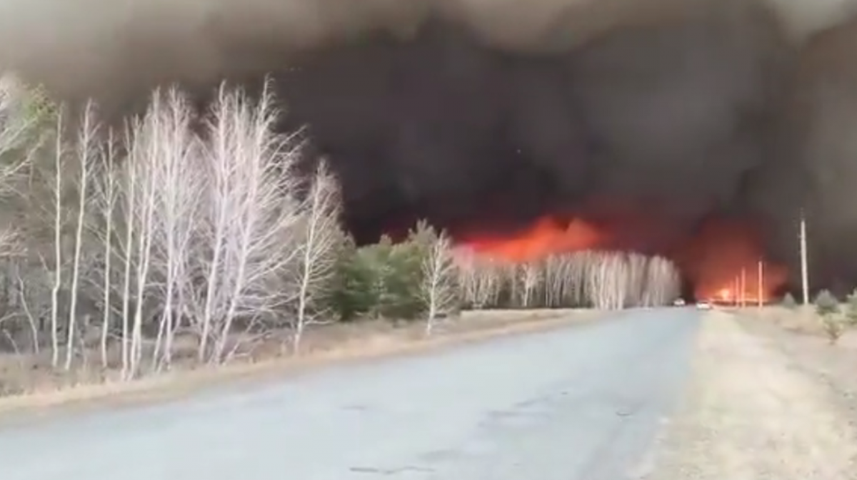 В России горят сибирские леса/ скриншот