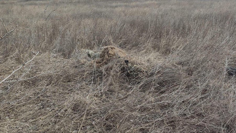 фото з твіттеру Міноборони фото з твіттеру Міноборони