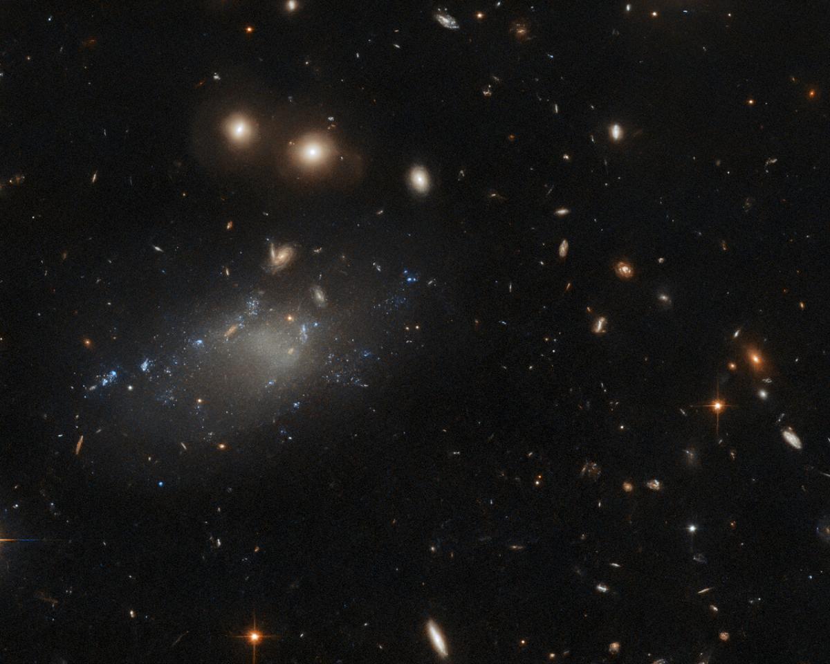 Телескоп Hubble сфотографував унікальну галактику / фото ESA / Hubble & NASA, R. van der Burg