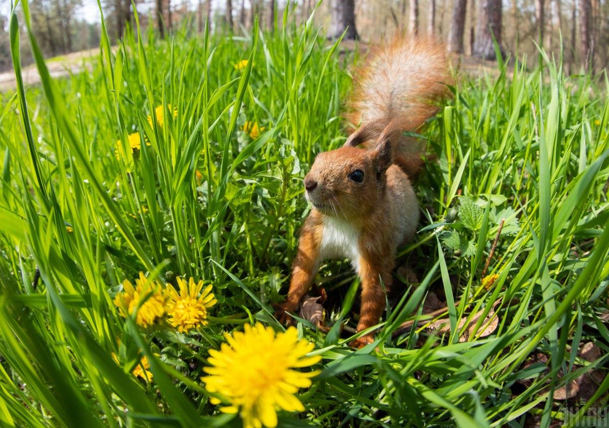 какой сегодня праздник какой сегодня праздник