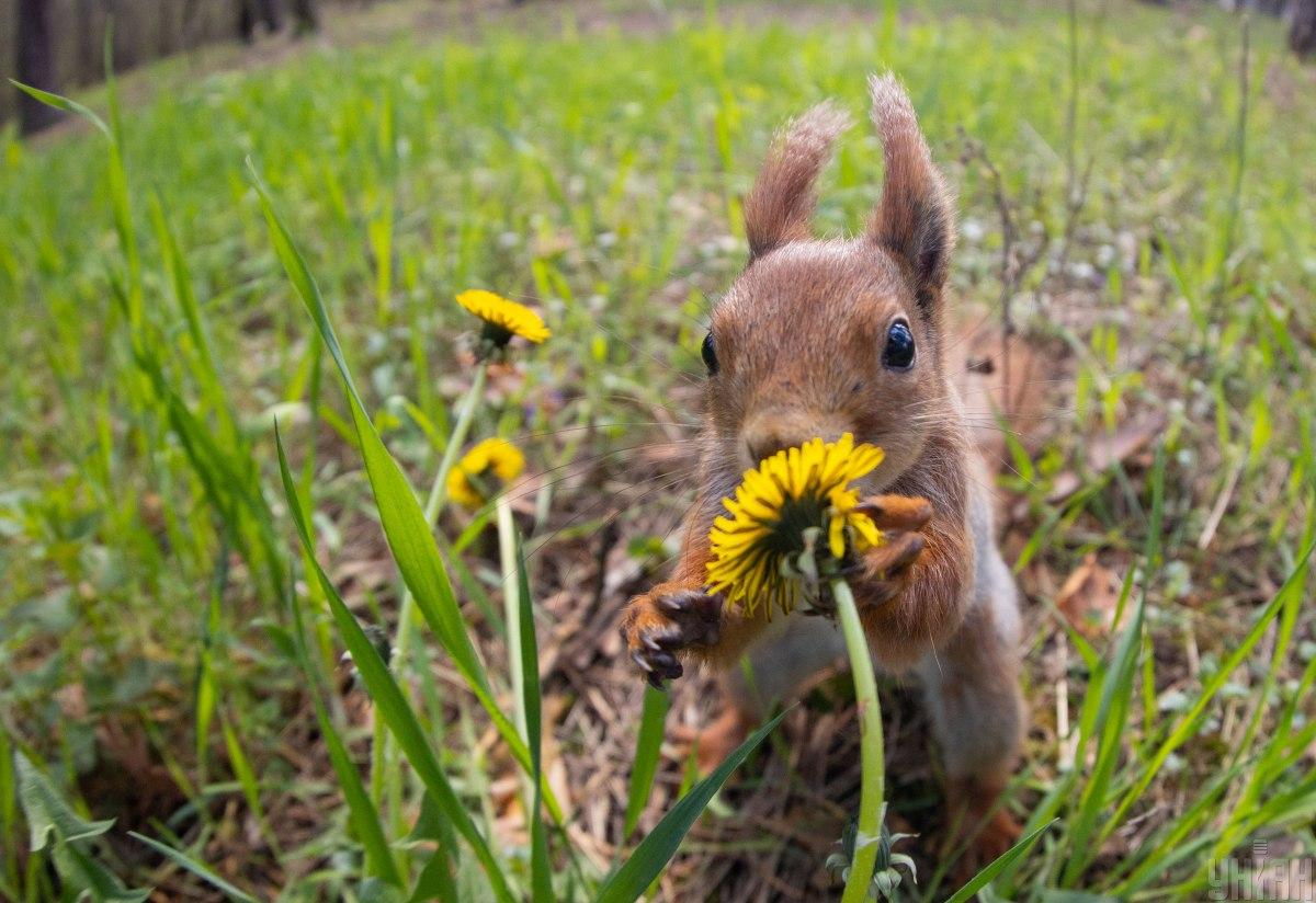 Завтра у багатьох областях України стане холодніше / фото УНІАН Завтра у багатьох областях України стане холодніше / фото УНІАН