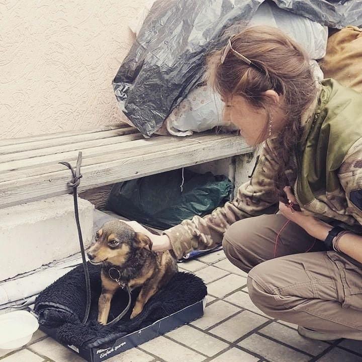 Чоловік із собакою втекли з Маріуполя / Фото Людмила Швайка Чоловік із собакою втекли з Маріуполя / Фото Людмила Швайка