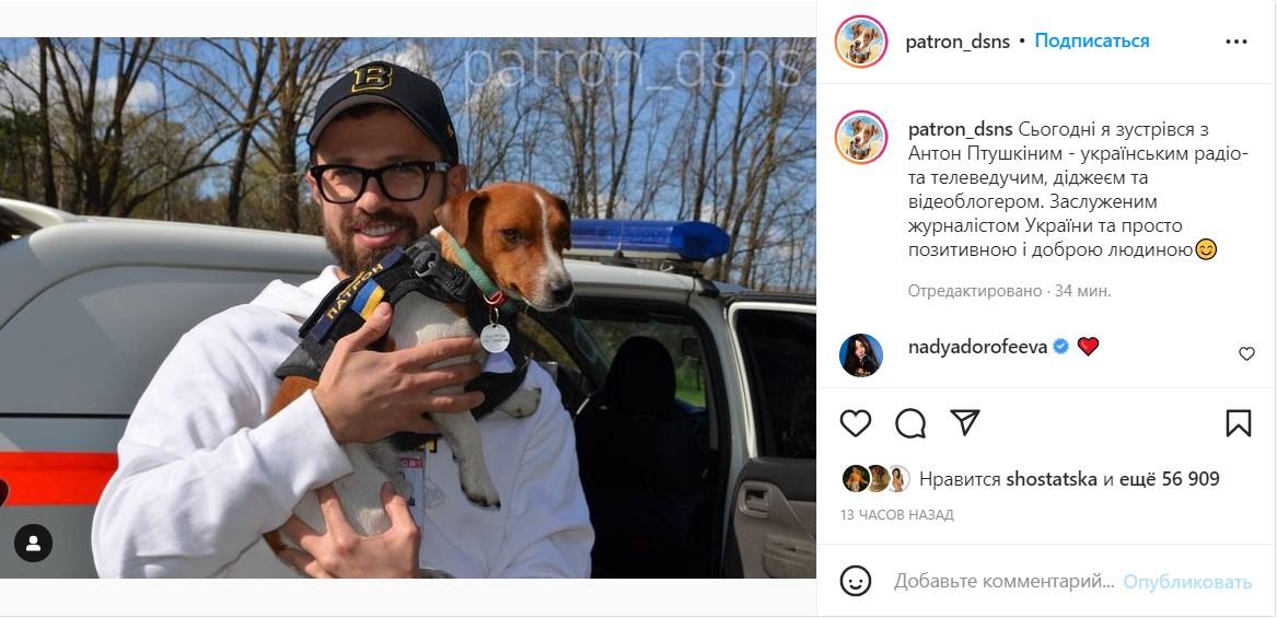 Птушкин и пес Патрон / Скриншот публикации, instagram.com Птушкин и пес Патрон / Скриншот публикации, instagram.com