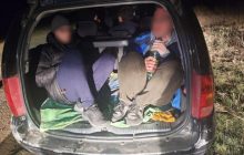 Не знали ім'я бабусі: на Одещині зупинили авто, набите "онуками"-ухилянтами (фото)
