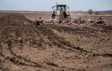 В Україні подорожчала земля: в яких регіонах запропонують найвищу ціну