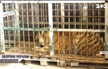 Из харьковского экопарка в Днепр удалось вывезти полтора десятка крупных животных (видео)