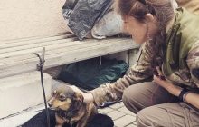 Ногами й лапками: житель оточеного Маріуполя з собакою 5 діб пішки йшли до Запоріжжя (фото)