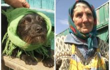 Кутала песика в платок: бабушка с Киевщины рассказала, как пережила бомбежку (видео)