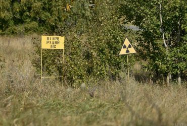 Военные РФ действительно рыли окопы в Рыжем лесу и даже там жили: появилось видео