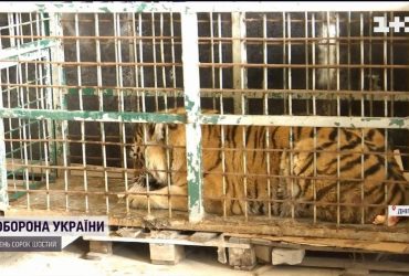 Из харьковского экопарка в Днепр удалось вывезти полтора десятка крупных животных (видео)