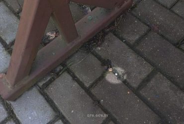 Білорусь заявила, що польські силовики з рогатки обстріляли її пункт пропуску (фото, відео)