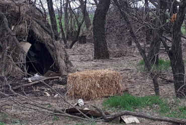 На Миколаївщині окупанти жили у дуплі (фото)