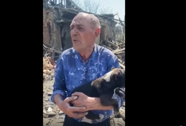 Обстрел села на Донбассе: дедушка чудом остался жив, его щенка спасли из-под завалов (видео)