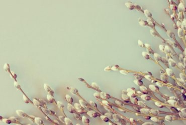 Вербное воскресенье: поздравления, открытки и теплые пожелания