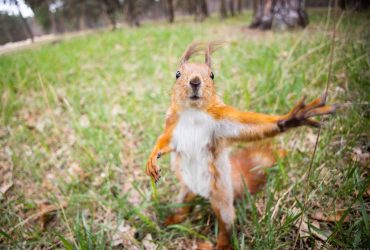 На вихідних в Україні різко зміниться погода: чого очікувати (карта)