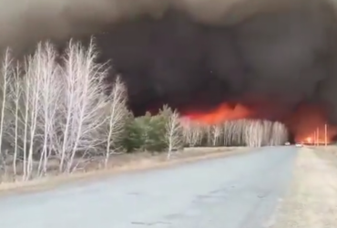 В России не могут потушить сибирские леса из-за войны в Украине (видео)