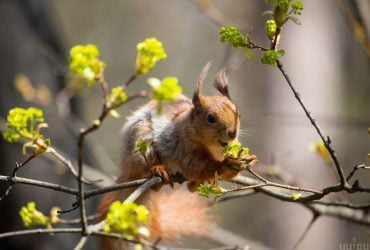 Праздничные выходные порадуют украинцев летним теплом и солнцем, но есть нюанс (карта)