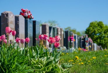 В Одесской области парень разбил почти сто могил на кладбище