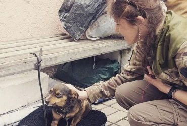 Ногами и лапками: житель окруженного Мариуполя с собакой 5 суток пешком шли в Запорожье (фото)