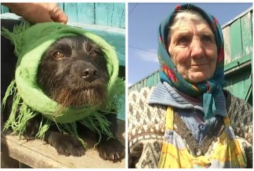 Кутала песика у хустку: бабуся з Київщини розповіла, як пережила бомбардування (відео)