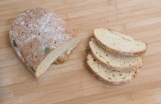 Пліснява на продуктах: викинути чи все ж можна їсти (відео)