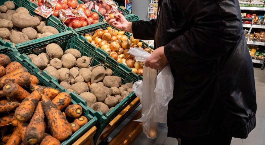 Ціни на овочі поповзли вниз, але не всі: що подешевшало в Україні