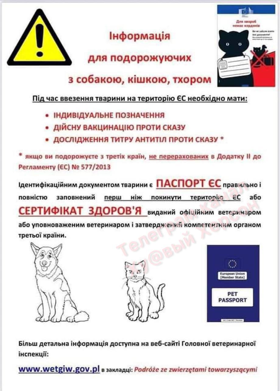 Головні новини Миколаєва за 1 травня: хроніка війни в місті та області Головні новини Миколаєва за 1 травня: хроніка війни в місті та області