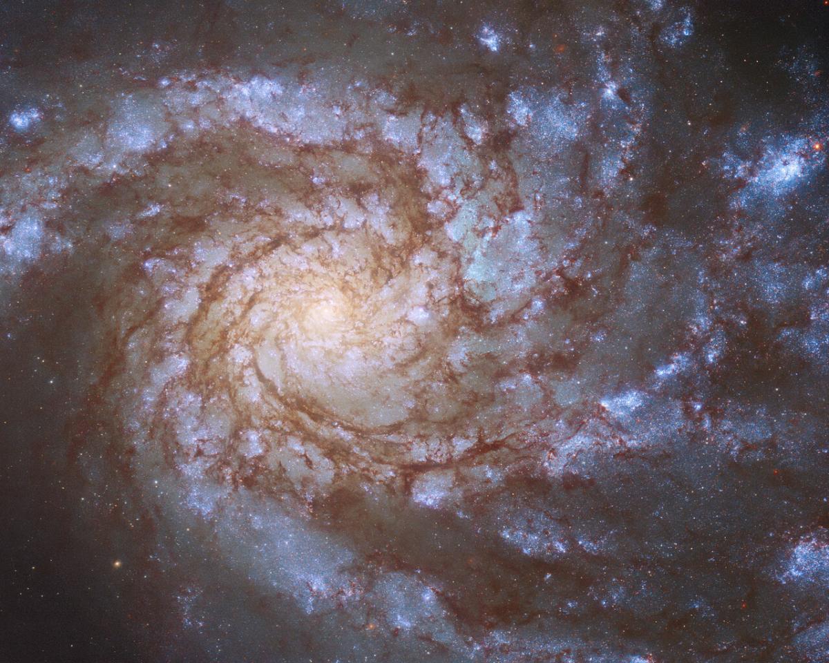 Галактика М99 на знімку Хаббла / фото ESA / Hubble & NASA, M. Kasliwal, J. Lee and the PHANGS-HST Team