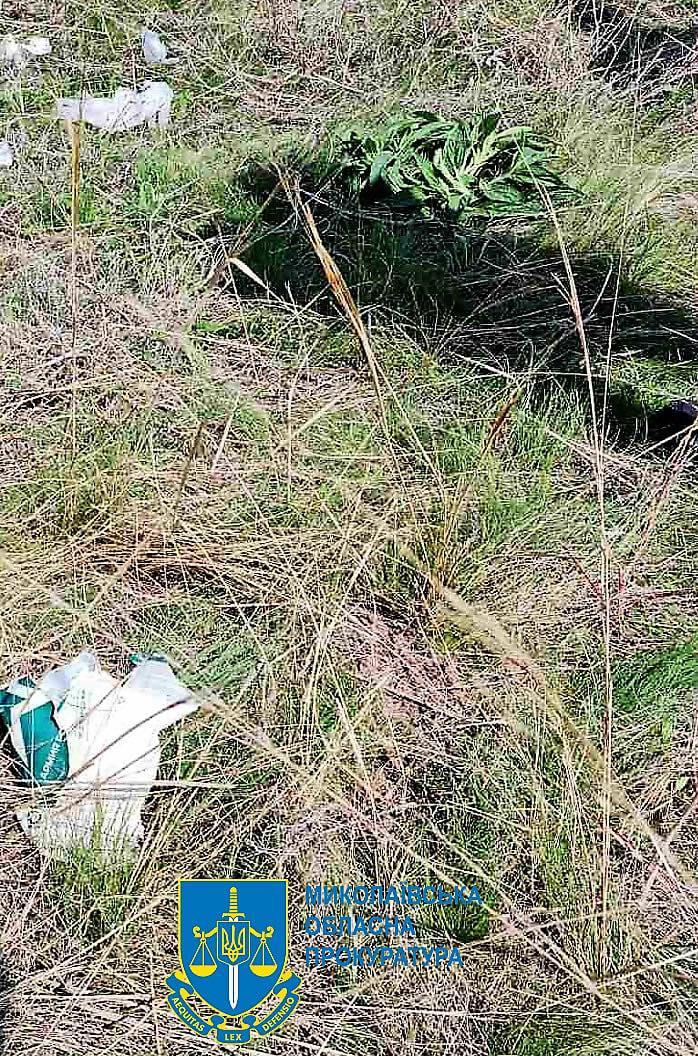 На Николаевщине нашли общую могилу двух замученных оккупантами / фото ОГП