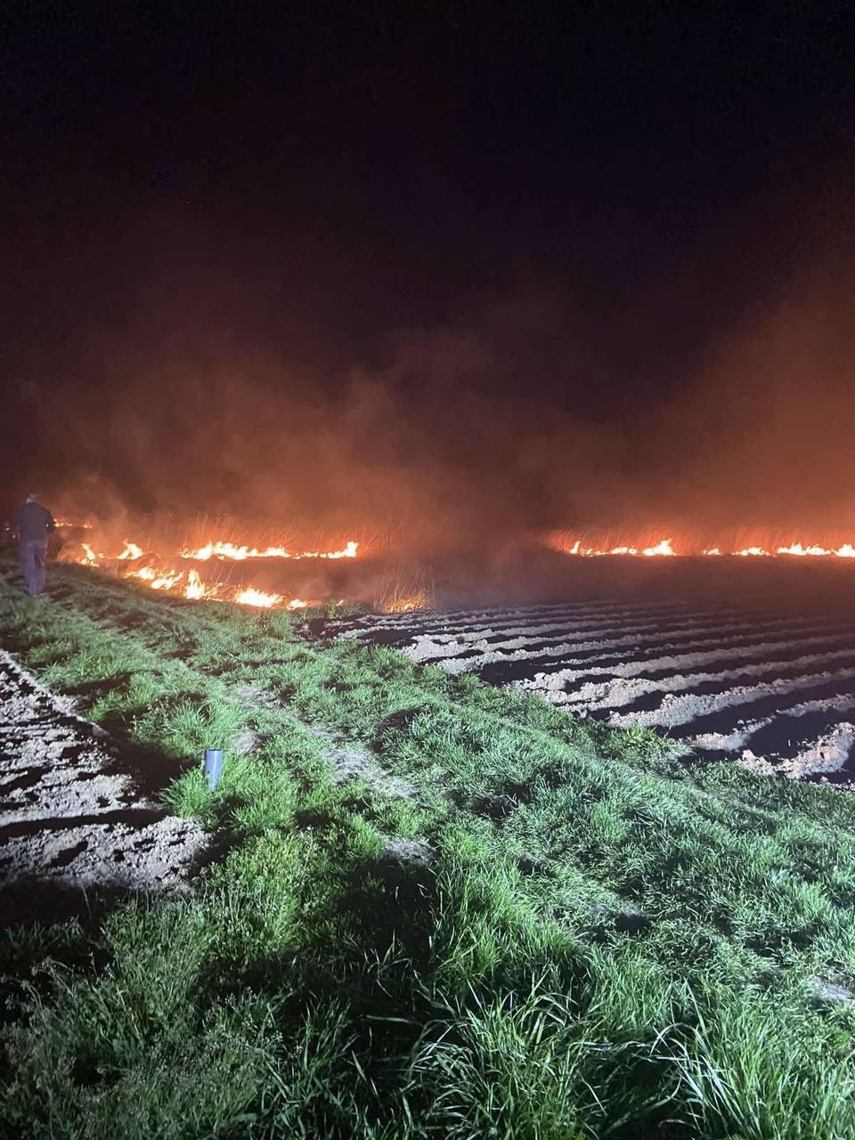 Внаслідок падіння уламків є загорання чагарника / фото голова Київської обласної державної адміністрації Олександр Павлюк Внаслідок падіння уламків є загорання чагарника / фото голова Київської обласної державної адміністрації Олександр Павлюк
