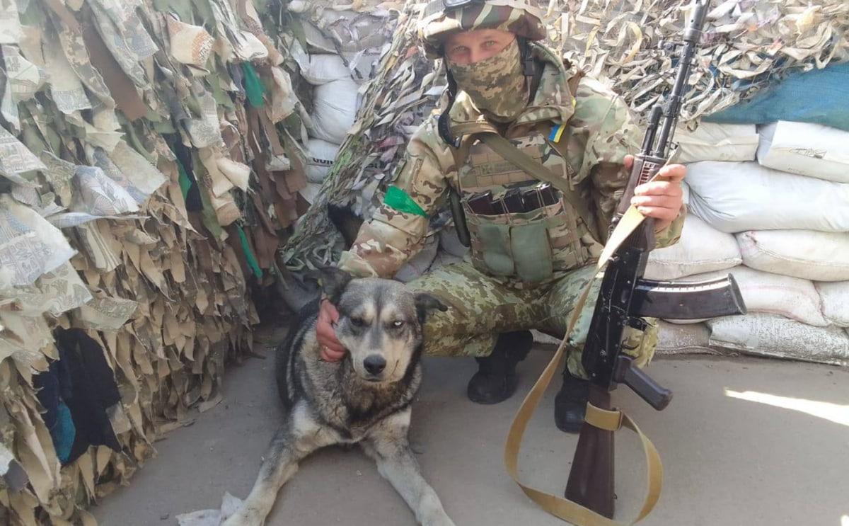 Головні новини Харкова за 7 травня: хроніка війни у місті та області Головні новини Харкова за 7 травня: хроніка війни у місті та області