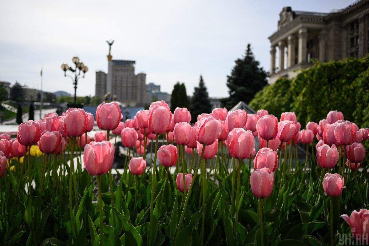 13 травня в Києві буде тепло, але хмарно / фото УНІАН (Андрій Горб)