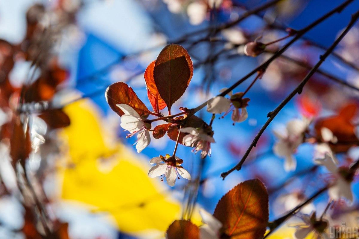 Красиві картинки про Україну / фото УНІАН Красиві картинки про Україну / фото УНІАН