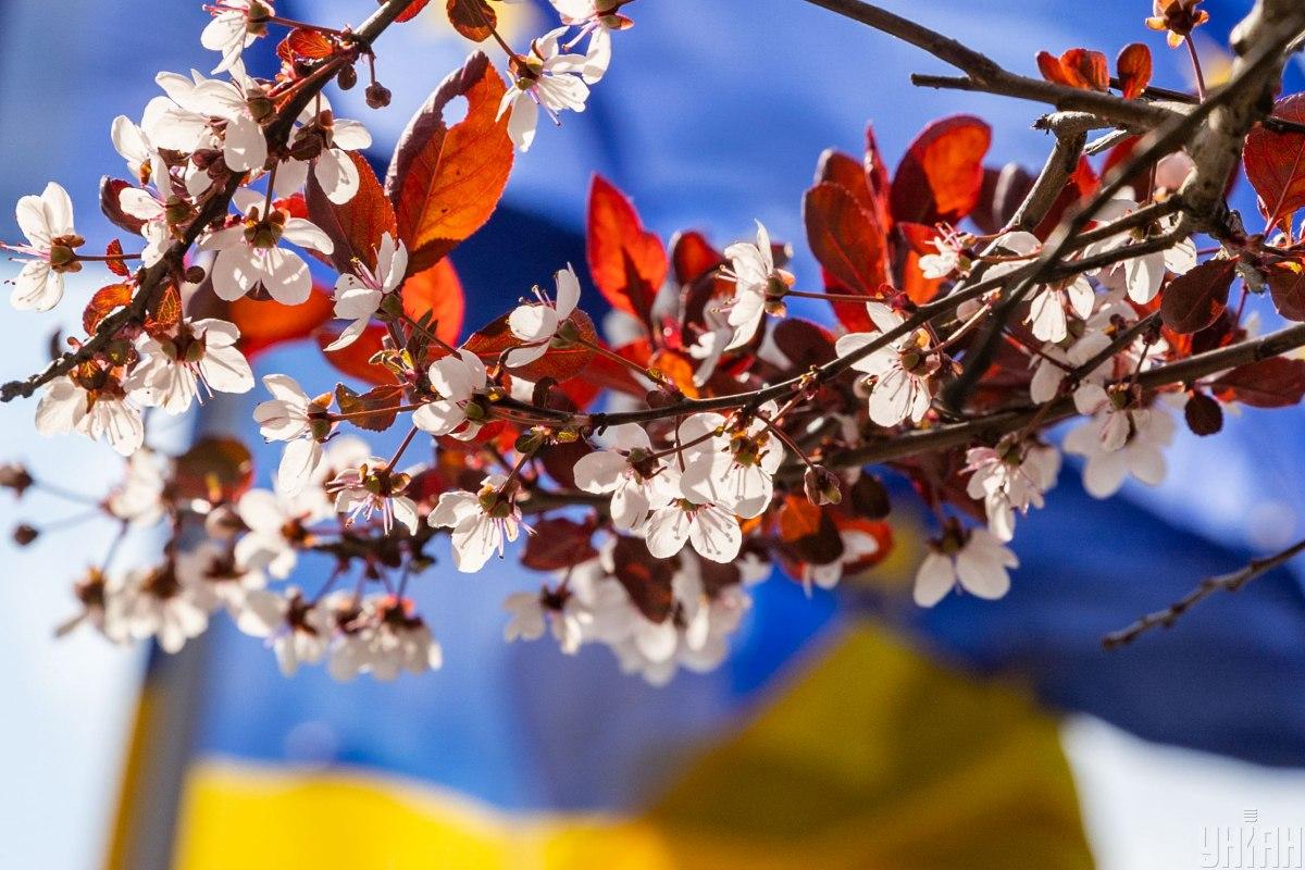 Народный праздник 21 мая / фото УНИАН Народный праздник 21 мая / фото УНИАН