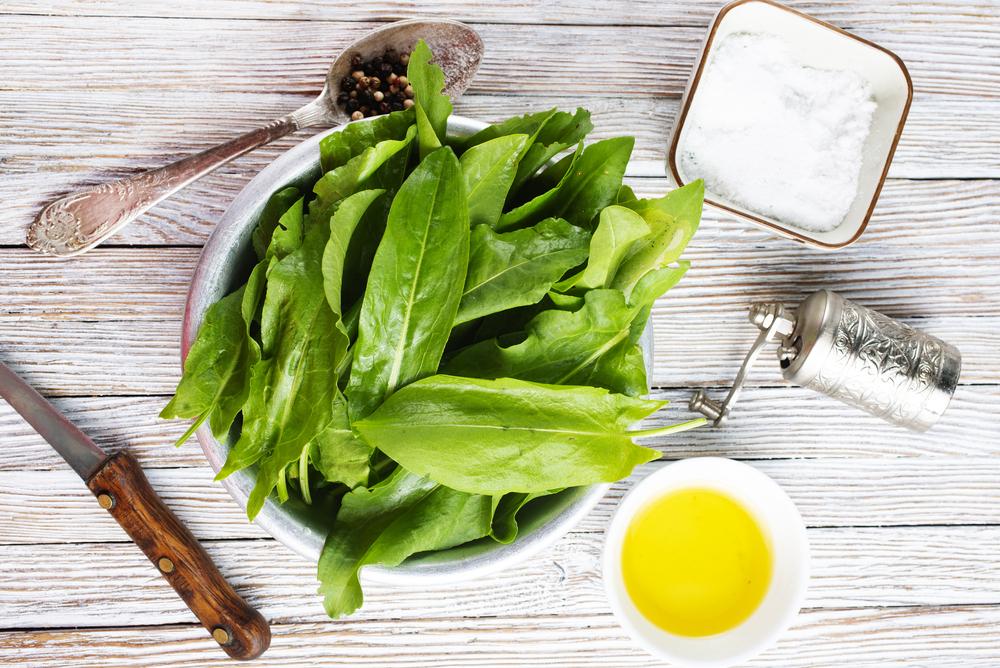 Щавель користь і шкода / фото ua.depositphotos.com Щавель користь і шкода / фото ua.depositphotos.com