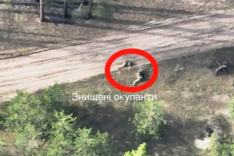 Ukrainian military destroyed an enemy armored vehicle 