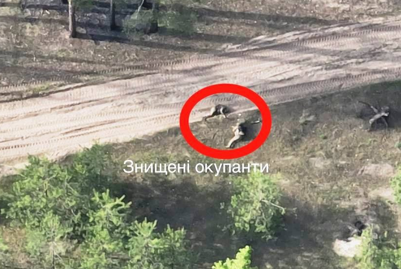 Украинские военные уничтожили вражескую бронемашину "Тигр" и его экипаж / фото t.me/ua_dshv Украинские военные уничтожили вражескую бронемашину "Тигр" и его экипаж / фото t.me/ua_dshv