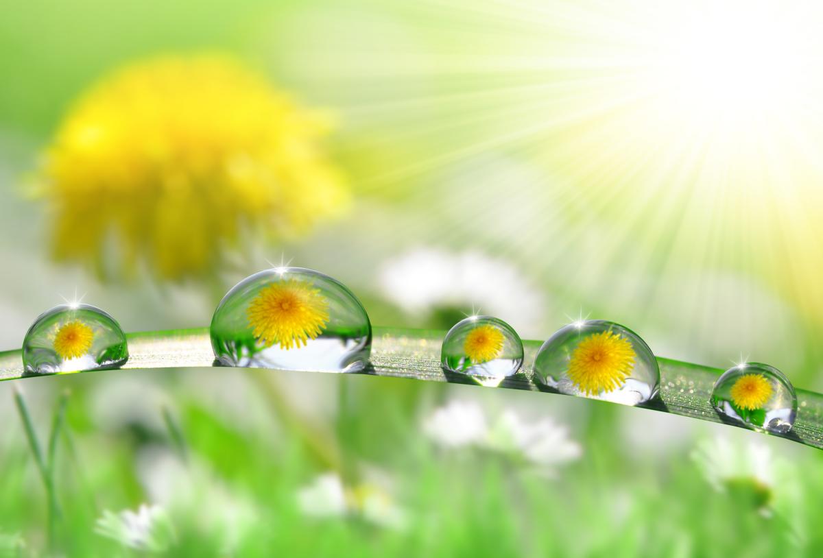 Народні прикмети сьогодні / фото ua.depositphotos.com Народні прикмети сьогодні / фото ua.depositphotos.com