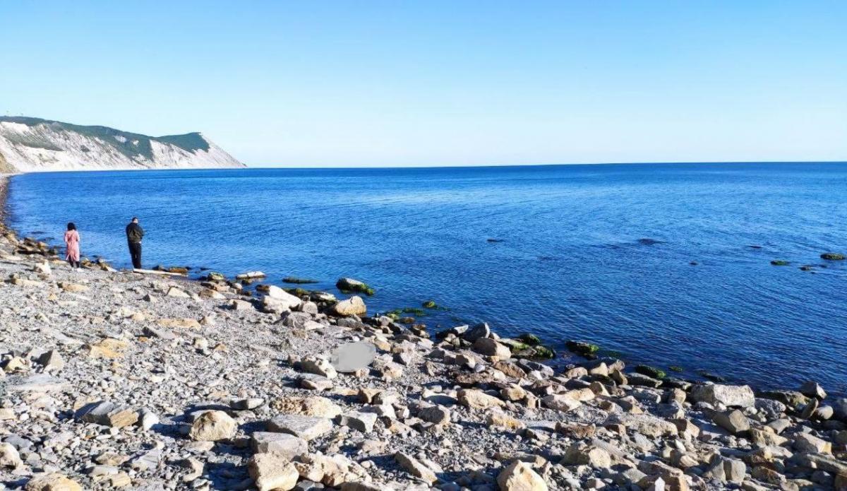 Росіяни смажили на багатті дельфіна / фото t.me/radiogovoritmsk Росіяни смажили на багатті дельфіна / фото t.me/radiogovoritmsk